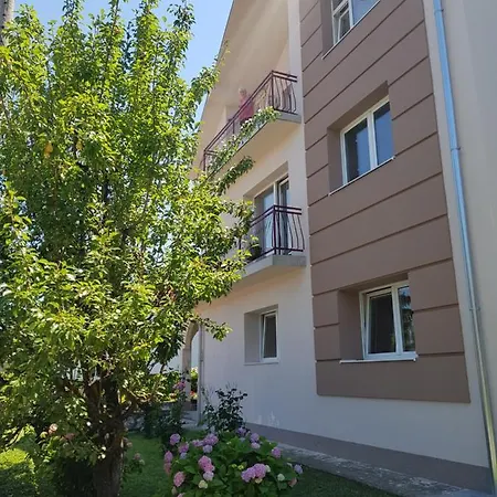 Vila Danica Soko Banja