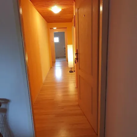 Apartment Vila Danica
