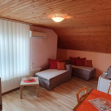 Apartment Vila Danica *