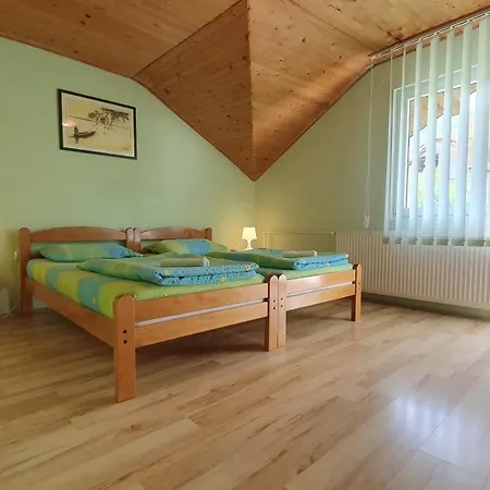 Apartment Vila Danica Soko Banja