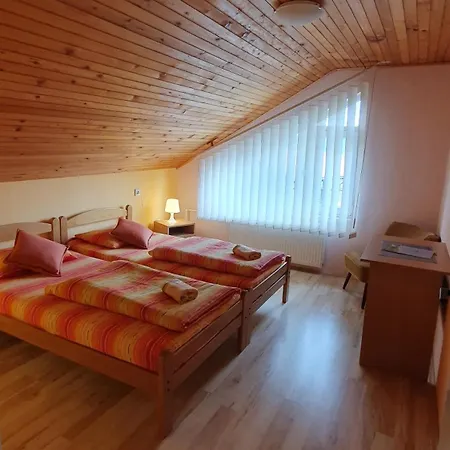 Vila Danica Apartment *