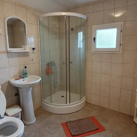 Apartment Vila Danica *