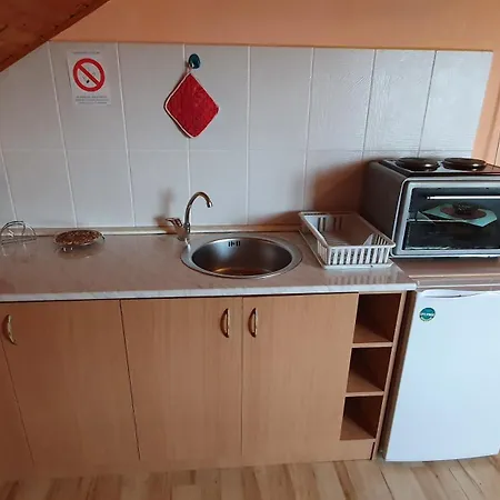 Apartment Vila Danica Soko Banja
