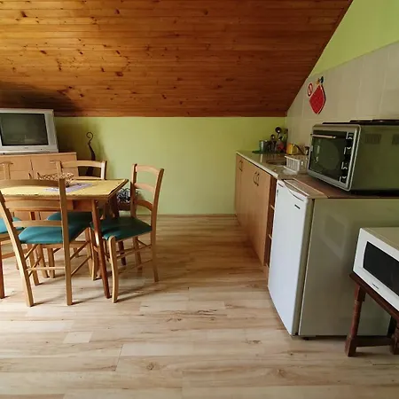 Vila Danica Soko Banja