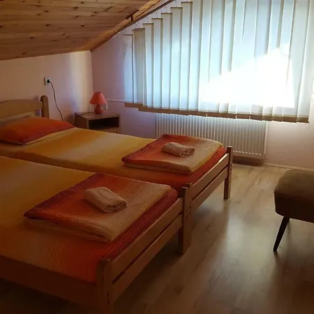 Vila Danica * Soko Banja