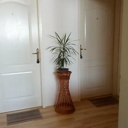 Vila Danica Apartment *